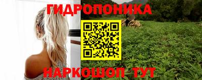 соль курить ск Пугачёв